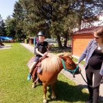 phoca_thumb_m_ponk 96 Fotogalerie